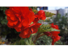 303 — �����.jpg