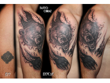 ���� �� �����.����� ������� �� ��� ����.���������� .���������� ������ ���� .����� ��