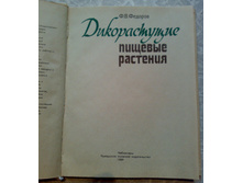 ��� ����� (35).jpg