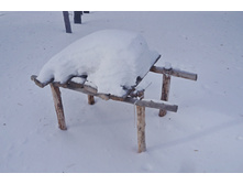 ������ ����� � �������