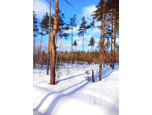 IMG 20170226 104458.jpg