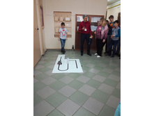 IMG 20170201 130131.jpg