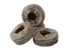 �������� ��������� � ��������� � ����� d-38 �� Cocoland, 3,435�+%