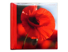 420���. ��� 58111 V ���������� 200 ������� �������� 46793 ������ ������.jpg