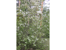 IMG 3014.JPG