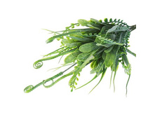 ����� "������ � ���������"����� "������ � ���������" �����; 30 ��; �������; � ����� 800 ��. ���.: 1653787 55.00���.