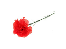 ������ ������������� "������� ��������"������ ������������� "������� ��������" �����; 50 ��; �������, ��������; � ����� 4200 ��. ���.: 183274 14.85 ���.