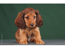 16422697 1277184965681257 4869477671523971201 o.jpg