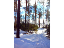 IMG 20170226 130444.jpg