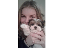 Received 1329781910401279.jpeg