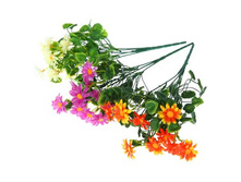 ����� "�������" ��������� "�������" ���� �����; 27 ��; �������; � ����� 800 ��. ���.: 1653788 55.00���.