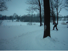 IMG 0113.JPG