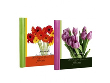 314���. ��� 81460 V ���������� 30� ����� 20 ����� ������ ��������� Image Art.jpg