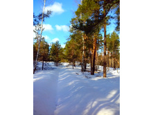 IMG 20170226 104127.jpg