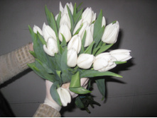 ����� Antartika