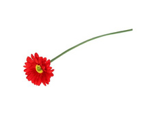 ����� ������������� "������� �����" 9*50 ��, ������������ ������������� "������� �����" 9*50 ��, ������� �����; 9 �� × 50 ��; �������, ��������; � ����� 800 ��. ���.: 1662246 36.00���