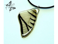 ����� Eurytides protesilaus, 210