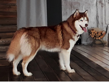 ����� -����- First Kiss Story