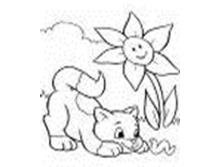 Image738.png