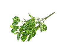 ����� "����������"����� "����������" �����; 37 ��; �������, ��������; � ����� 600 ��. ���.: 1208867 64.00���.