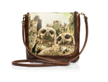 ����� ������ ������