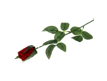 ������ ������������� "������� ����"������ ������������� "������� ����" �����; 5 �� × 63 ��; �������, ��������; � ����� 1200 ��. ���.: 482691 24.15 ���.