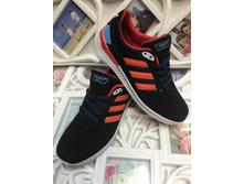 650� 40,41,42,42,43,43,44,45 � ������