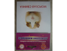 IMG 5906.JPG