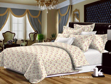 ���������� �������� (������ 60 �.).jpg