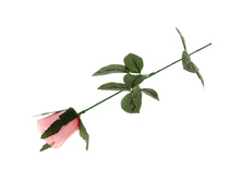 ������ ������������� "������� ����"������ ������������� "������� ����" �����; 5 �� × 5 �� × 63 ��; �������, ��������; � ����� 1200 ��. ���.: 482693 25.85 ���.