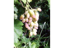 IMG 20160827 160152.jpg������������