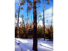 IMG 20170226 130426.jpg