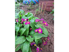 �������