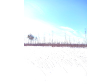 IMG 20170226 113719.jpg