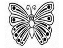 Image894.png