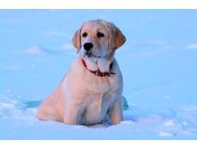 ���� ���� �� ��