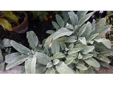 301 — �����.jpg