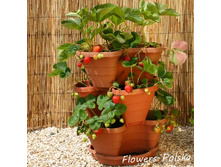 ����� ����.jpg