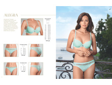 Florange 2017#01 MNS 07.jpg