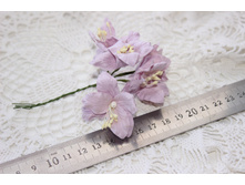 ����� 3��- 1��- 6���