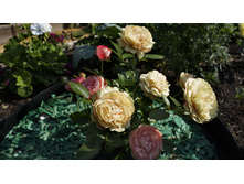 162 — �����.jpg