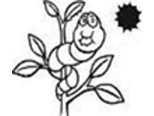 Image793.png