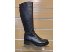 530 ���� ����