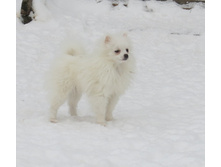 �������! 012.JPG