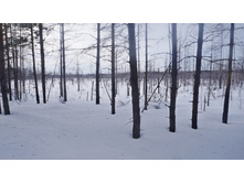 ����� ����� ������� ������������