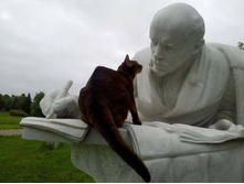 �� ����� ��� ��� �������!