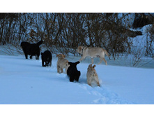 � ����� � �����