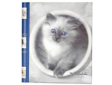 212���. ��� ��-00003110 V ���������� 20� 46351 ������ ��������� ������.jpg