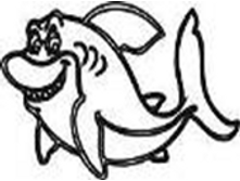Image955.png
