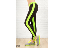 2310 ���� 600���